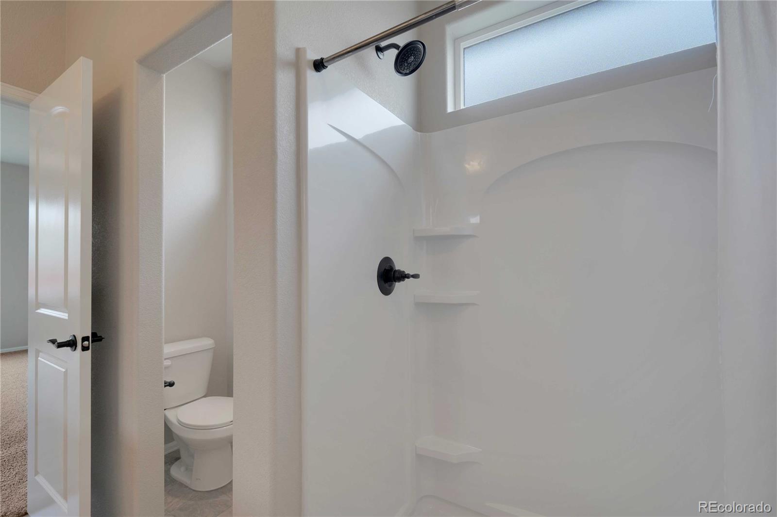 MLS Image #18 for 1867  abundance drive,windsor, Colorado
