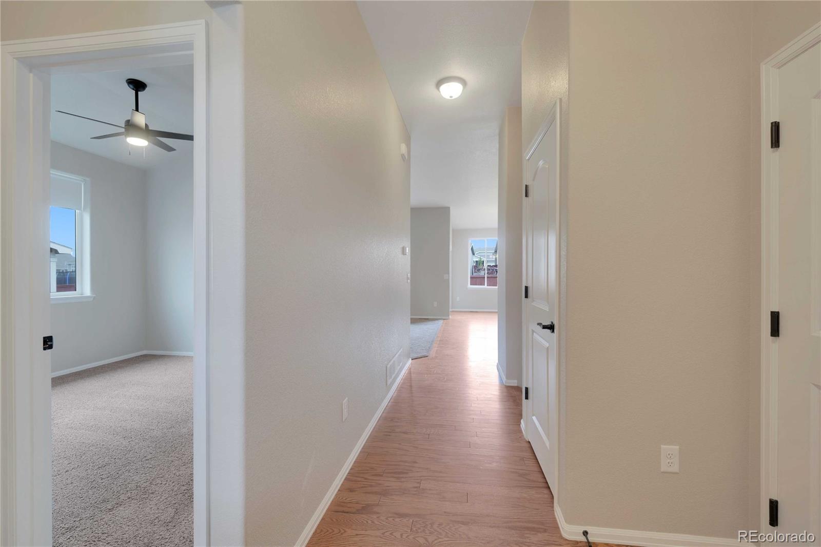 MLS Image #4 for 1867  abundance drive,windsor, Colorado