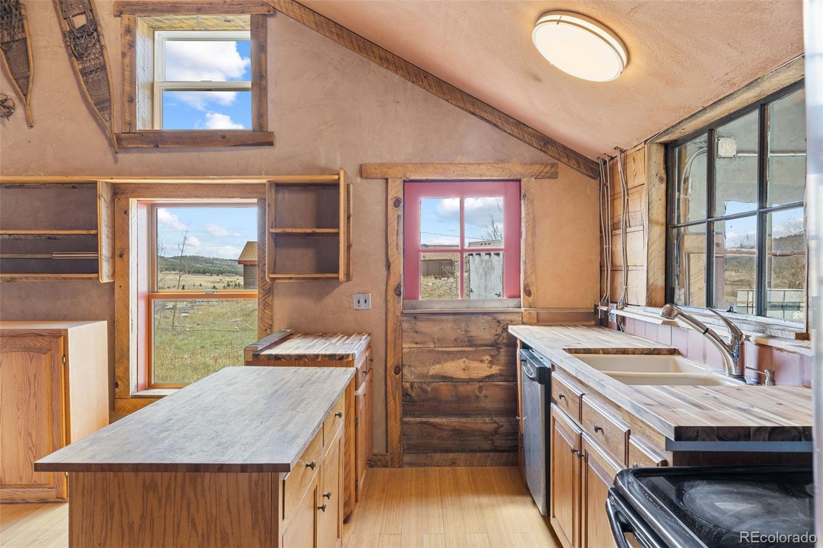 MLS Image #19 for 447 n main street,alma, Colorado
