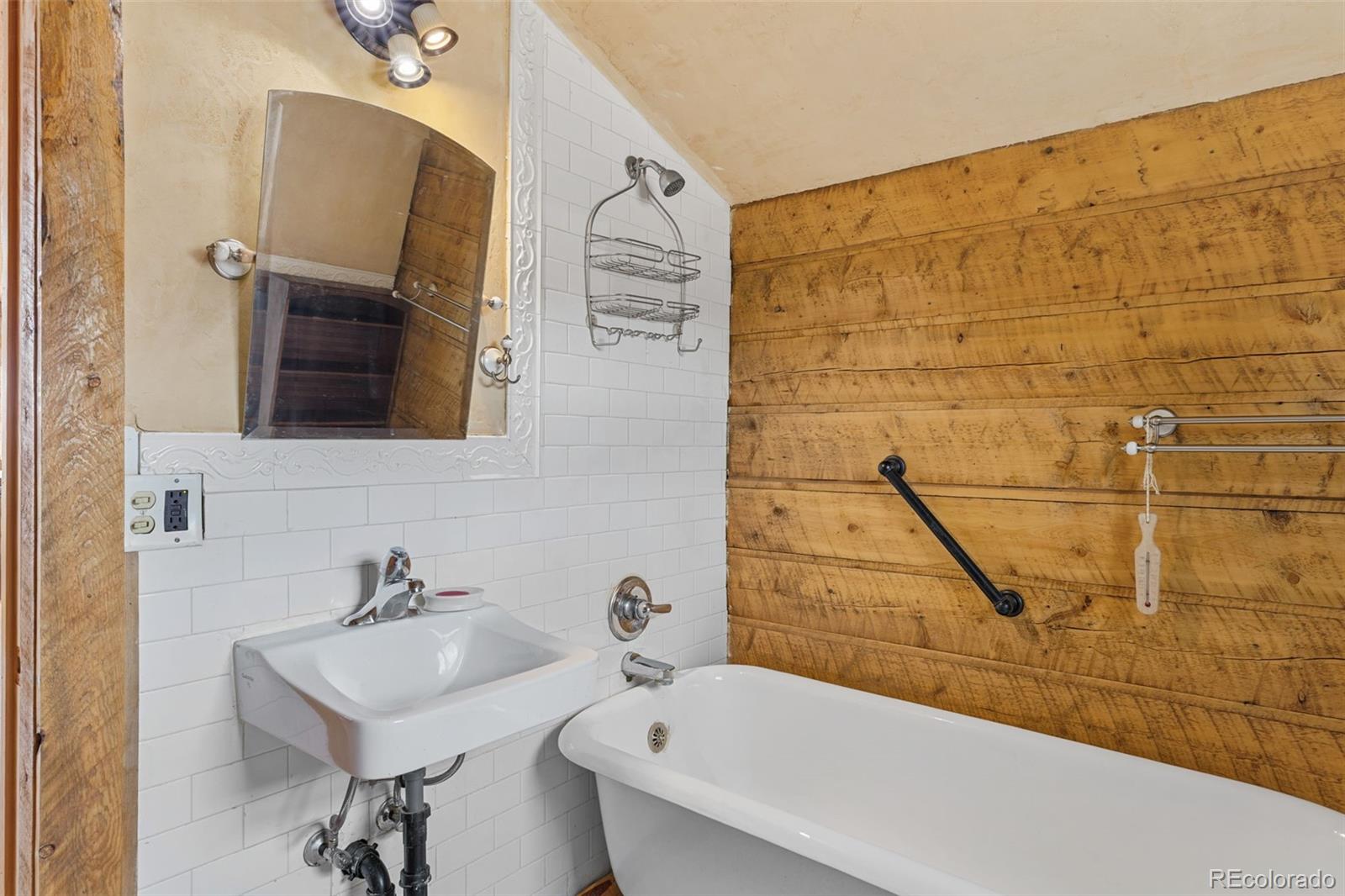 MLS Image #22 for 447 n main street,alma, Colorado