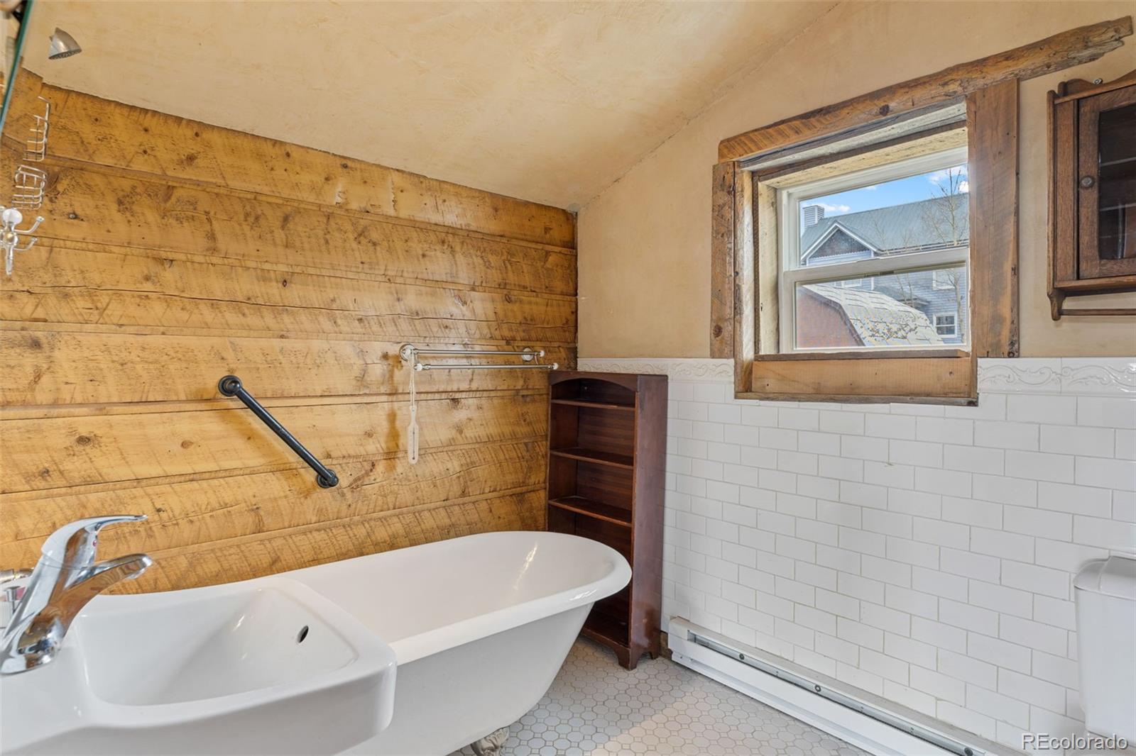 MLS Image #23 for 447 n main street,alma, Colorado