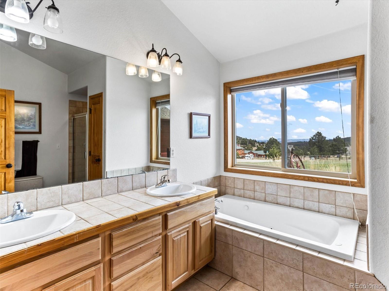 MLS Image #13 for 85  burland drive,bailey, Colorado