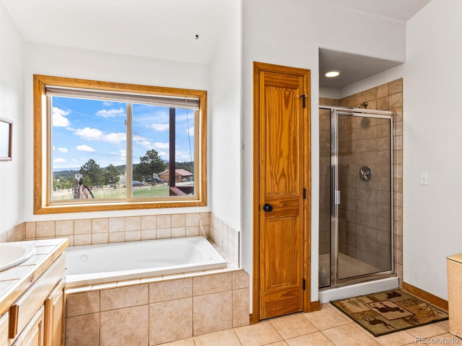 MLS Image #14 for 85  burland drive,bailey, Colorado