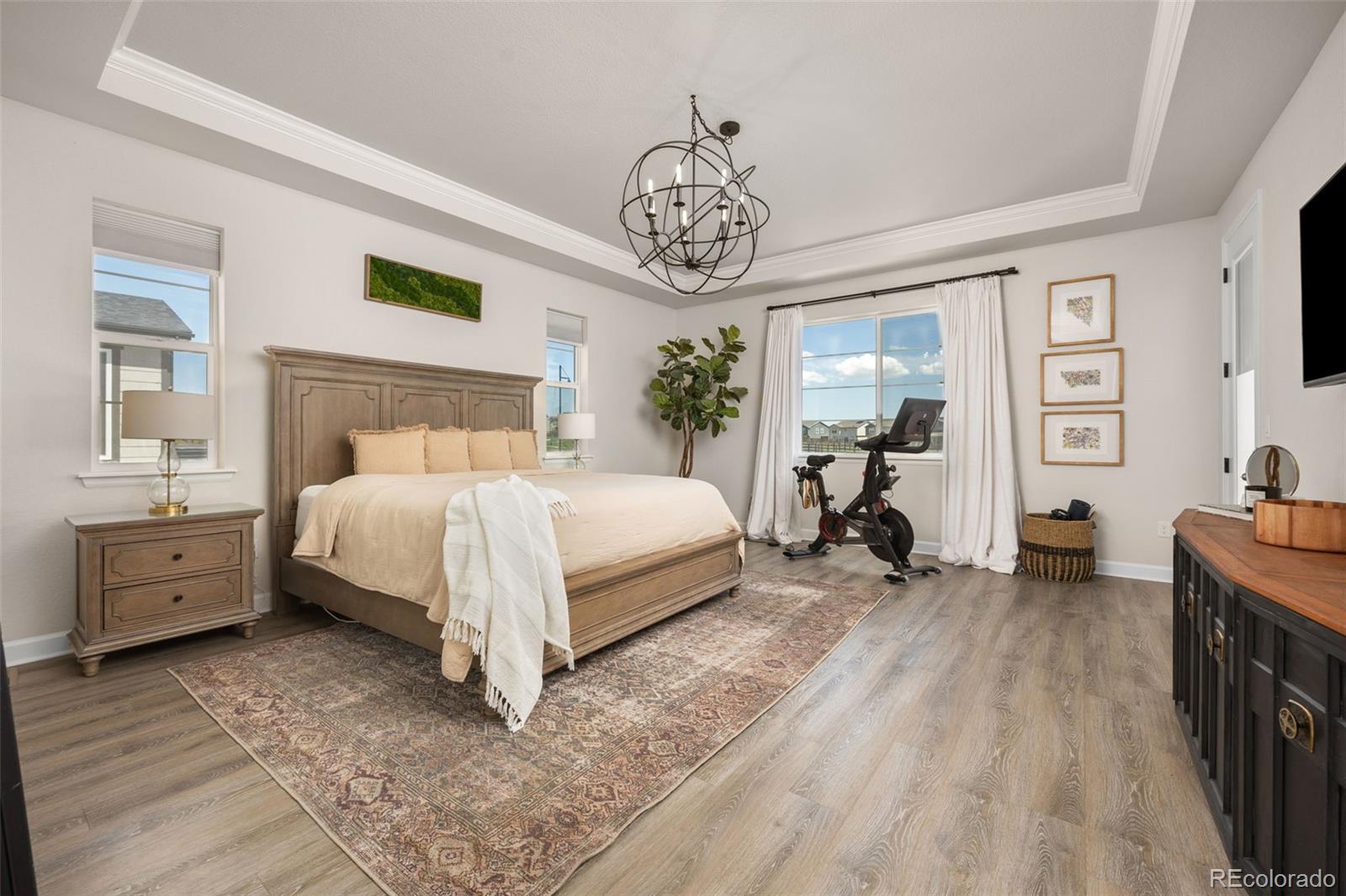 MLS Image #19 for 12846  palisade street,mead, Colorado