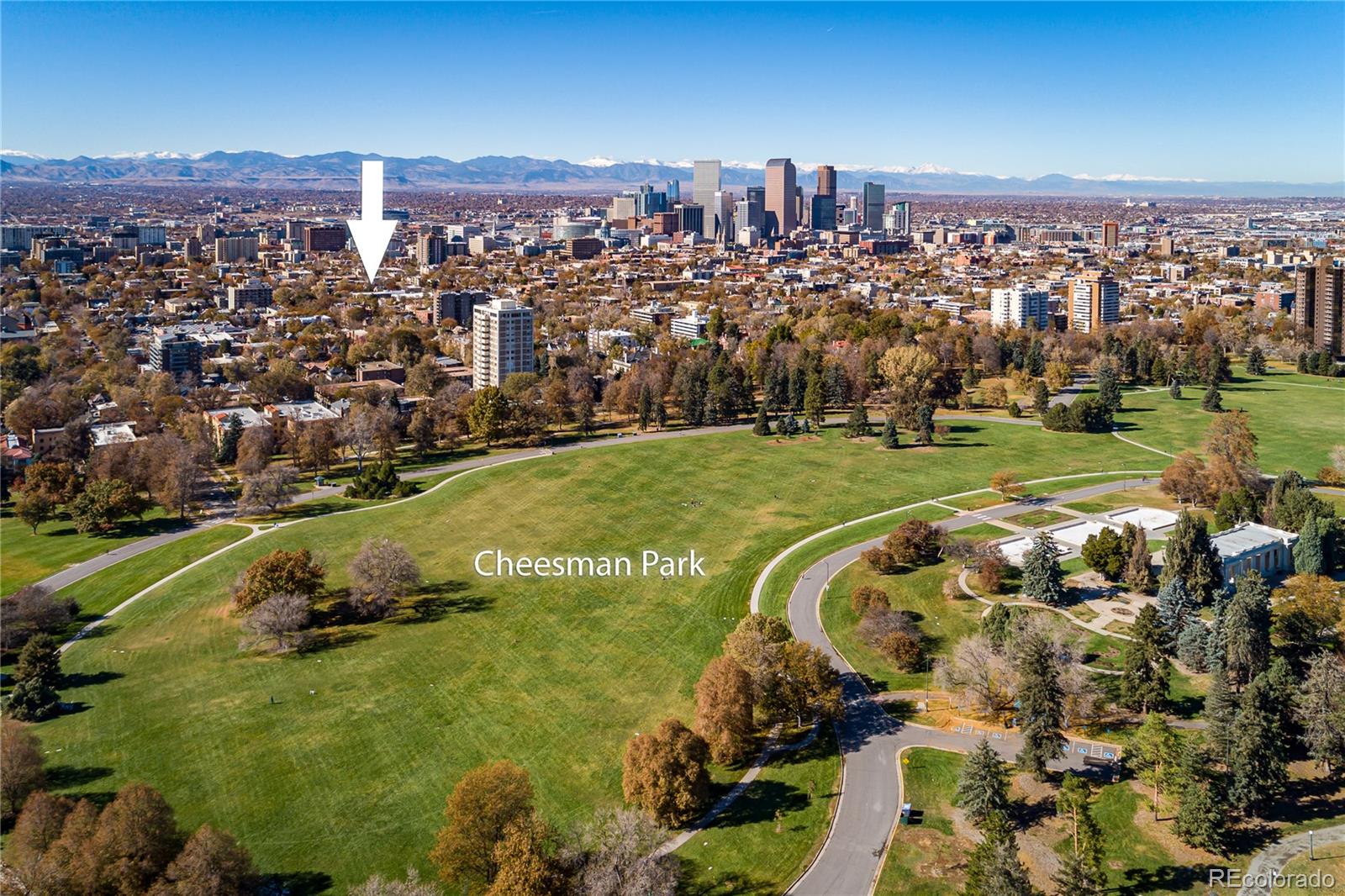 MLS Image #44 for 1050 n clarkson street,denver, Colorado