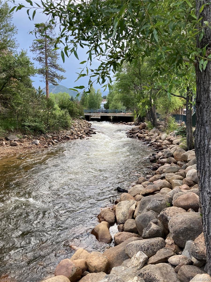 MLS Image #23 for 514  grand estates drive,estes park, Colorado