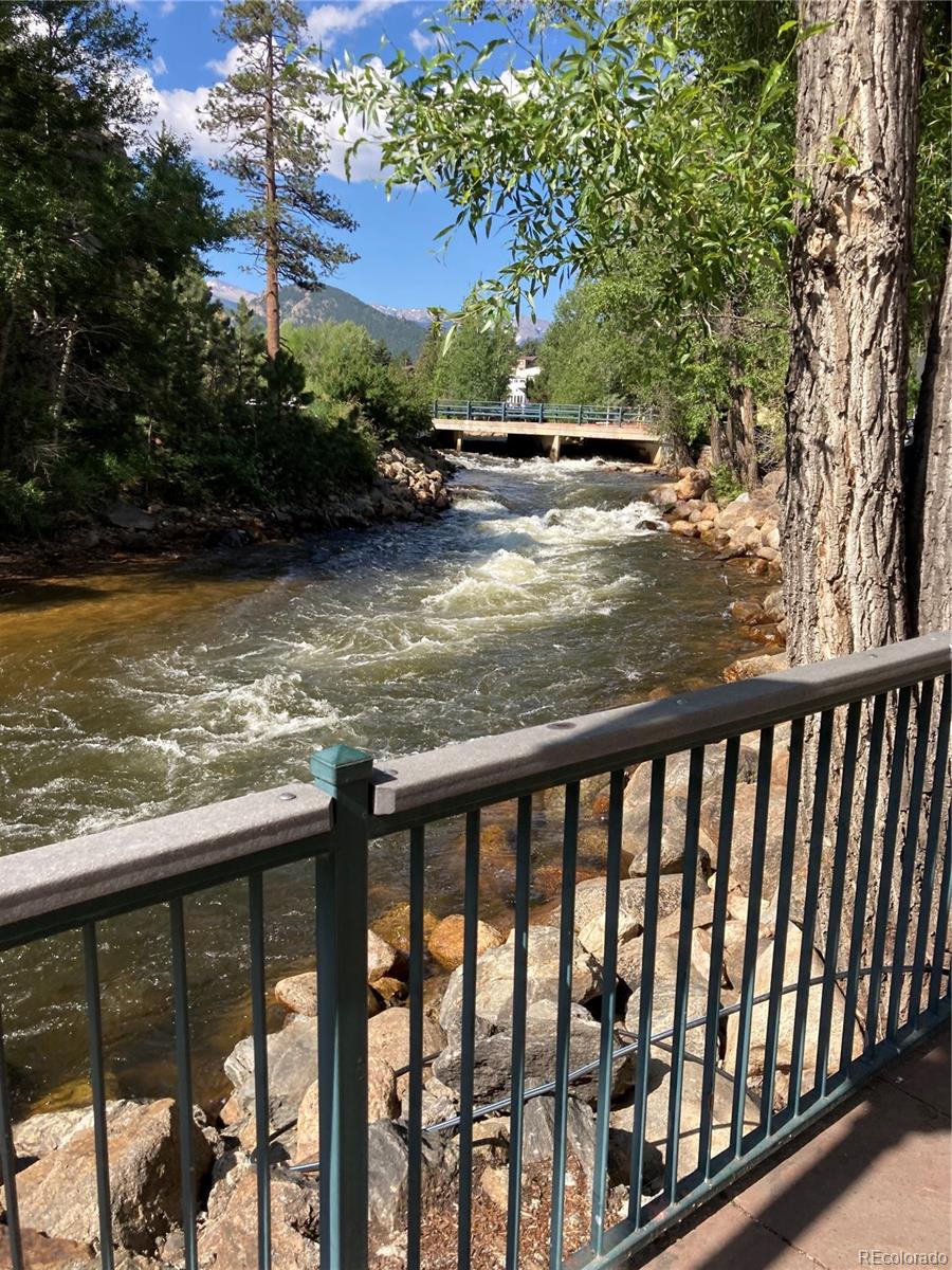 MLS Image #24 for 514  grand estates drive,estes park, Colorado