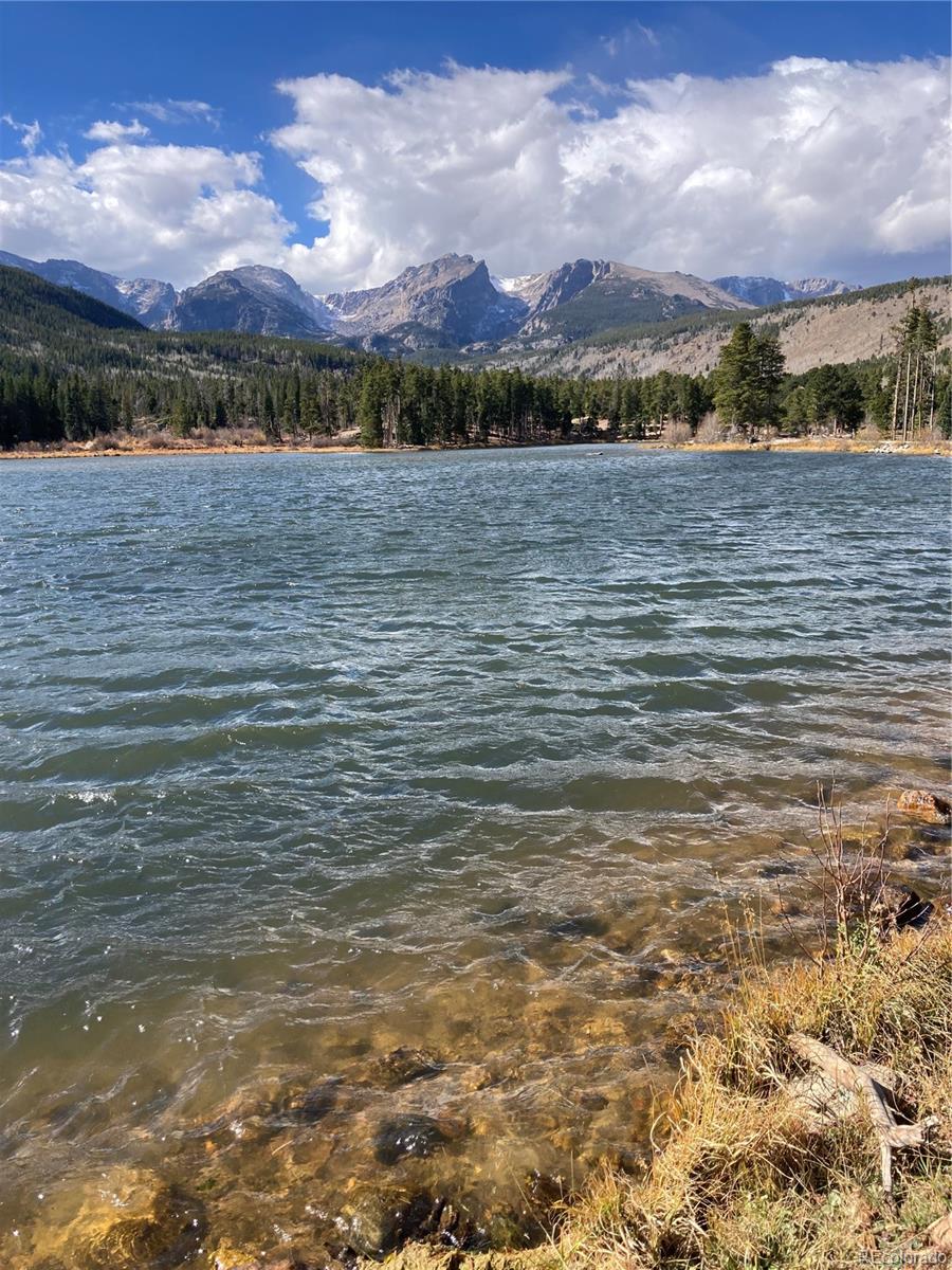 MLS Image #25 for 514  grand estates drive,estes park, Colorado