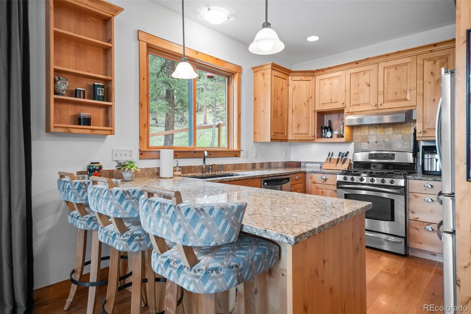 MLS Image #10 for 27711  moffat road,evergreen, Colorado