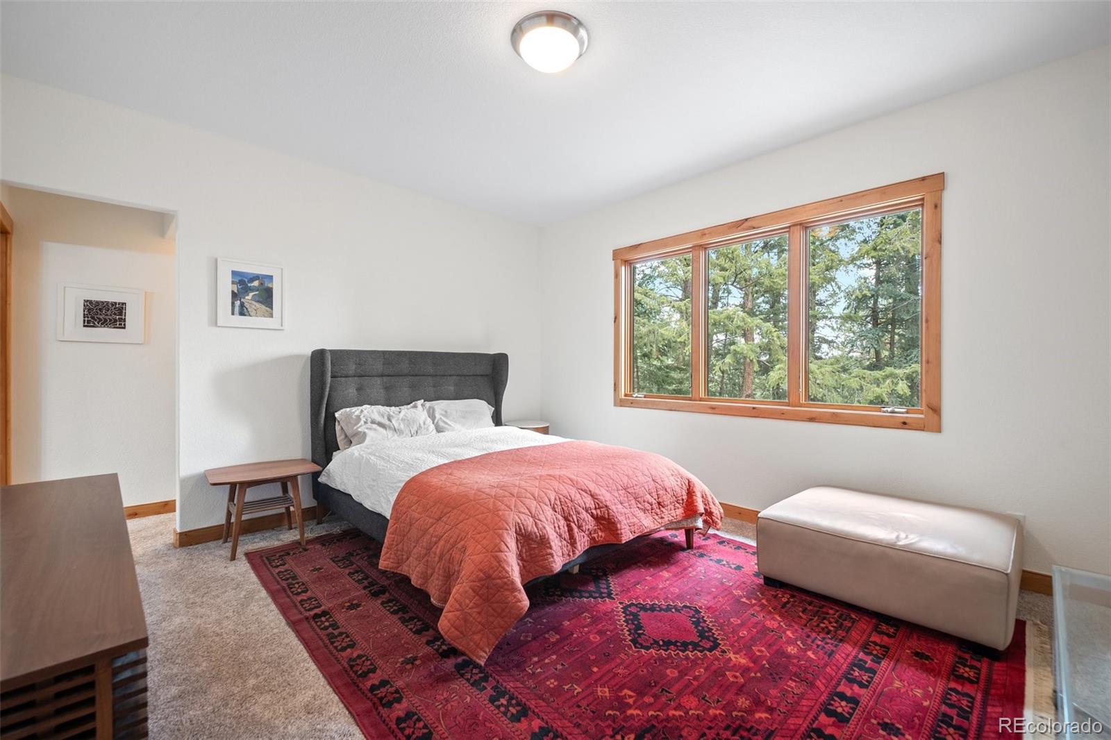 MLS Image #13 for 27711  moffat road,evergreen, Colorado