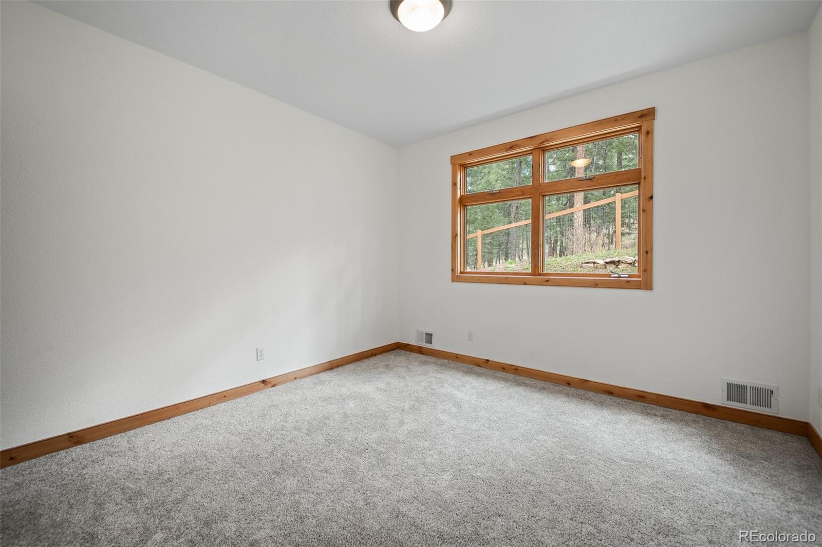 MLS Image #22 for 27711  moffat road,evergreen, Colorado