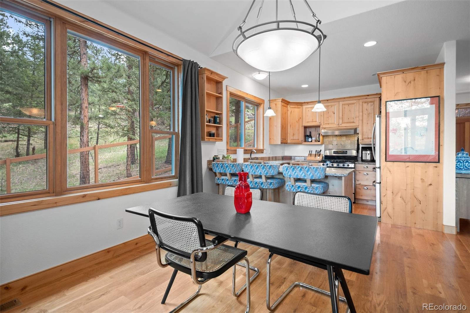 MLS Image #9 for 27711  moffat road,evergreen, Colorado