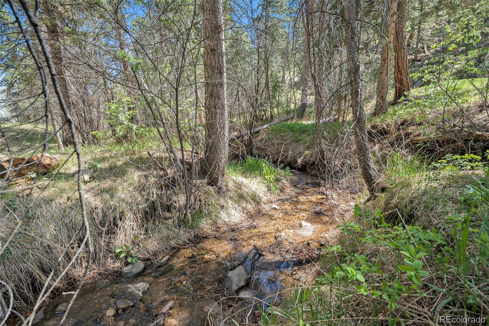 MLS Image #33 for 8722 s ault lane,morrison, Colorado