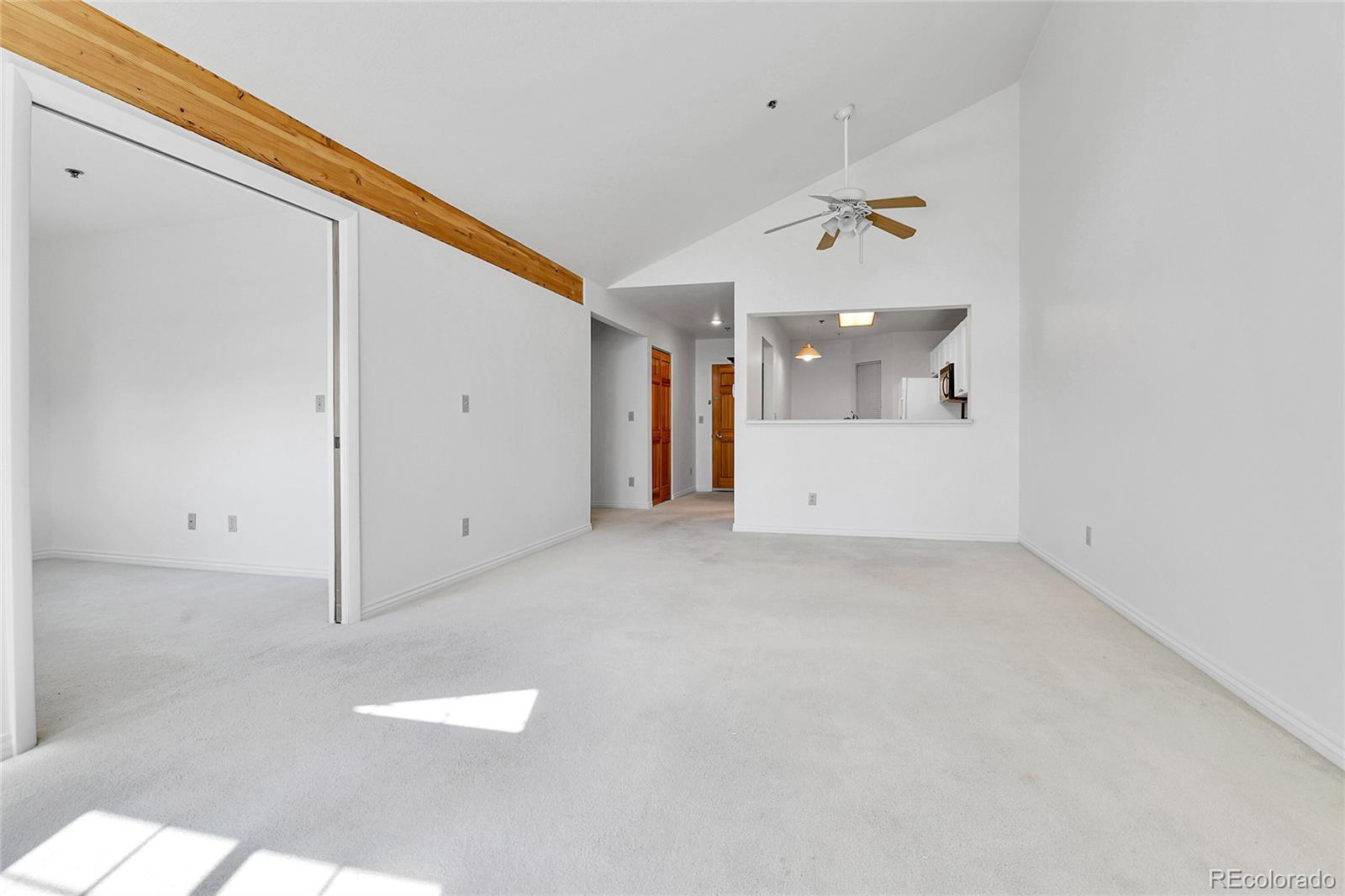 MLS Image #22 for 31819  rocky village drive,evergreen, Colorado
