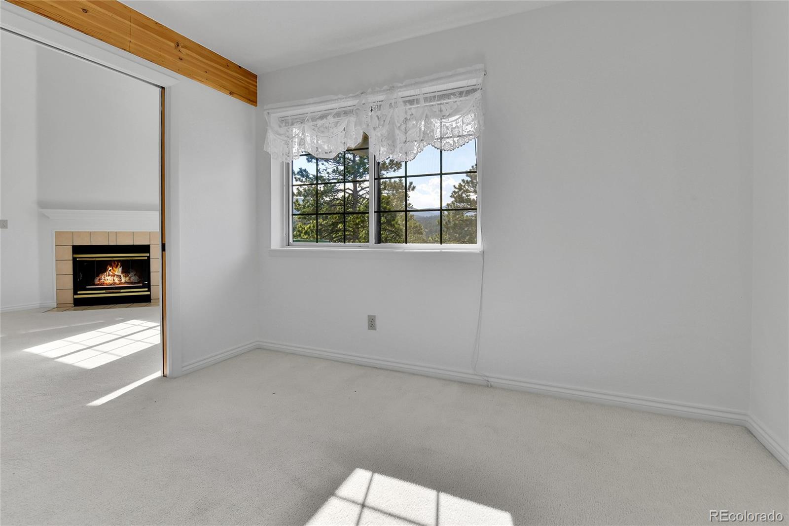 MLS Image #23 for 31819  rocky village drive,evergreen, Colorado
