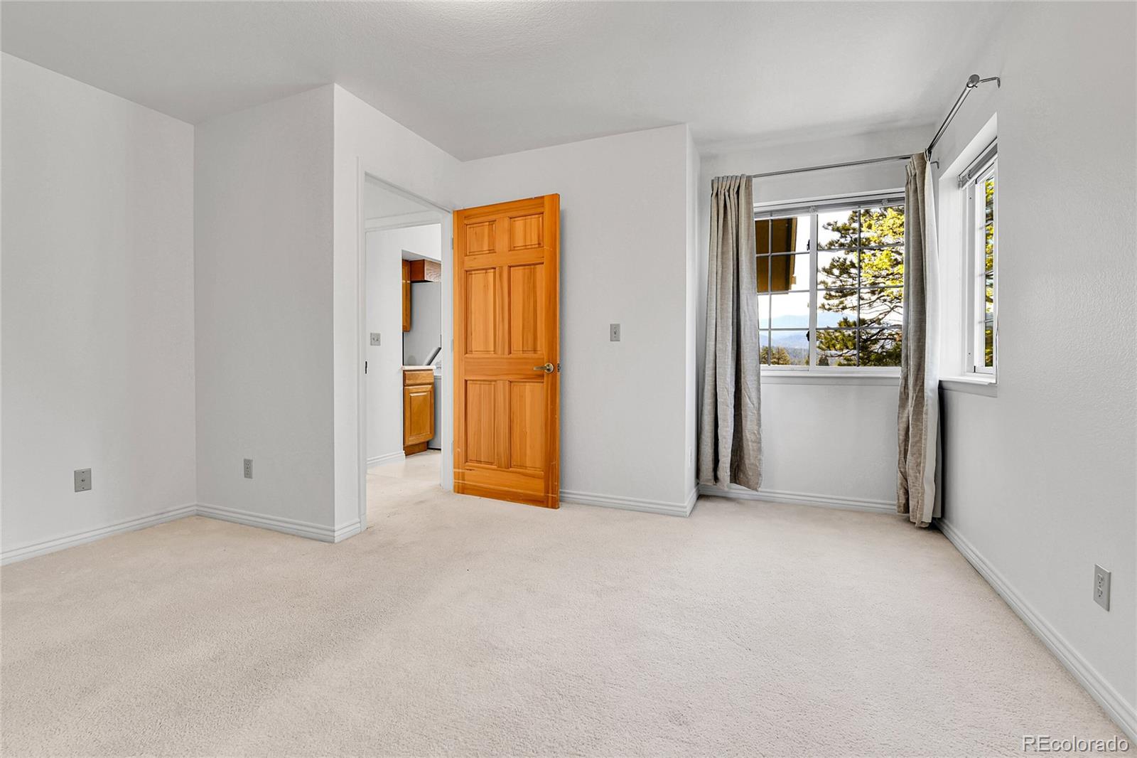 MLS Image #24 for 31819  rocky village drive,evergreen, Colorado