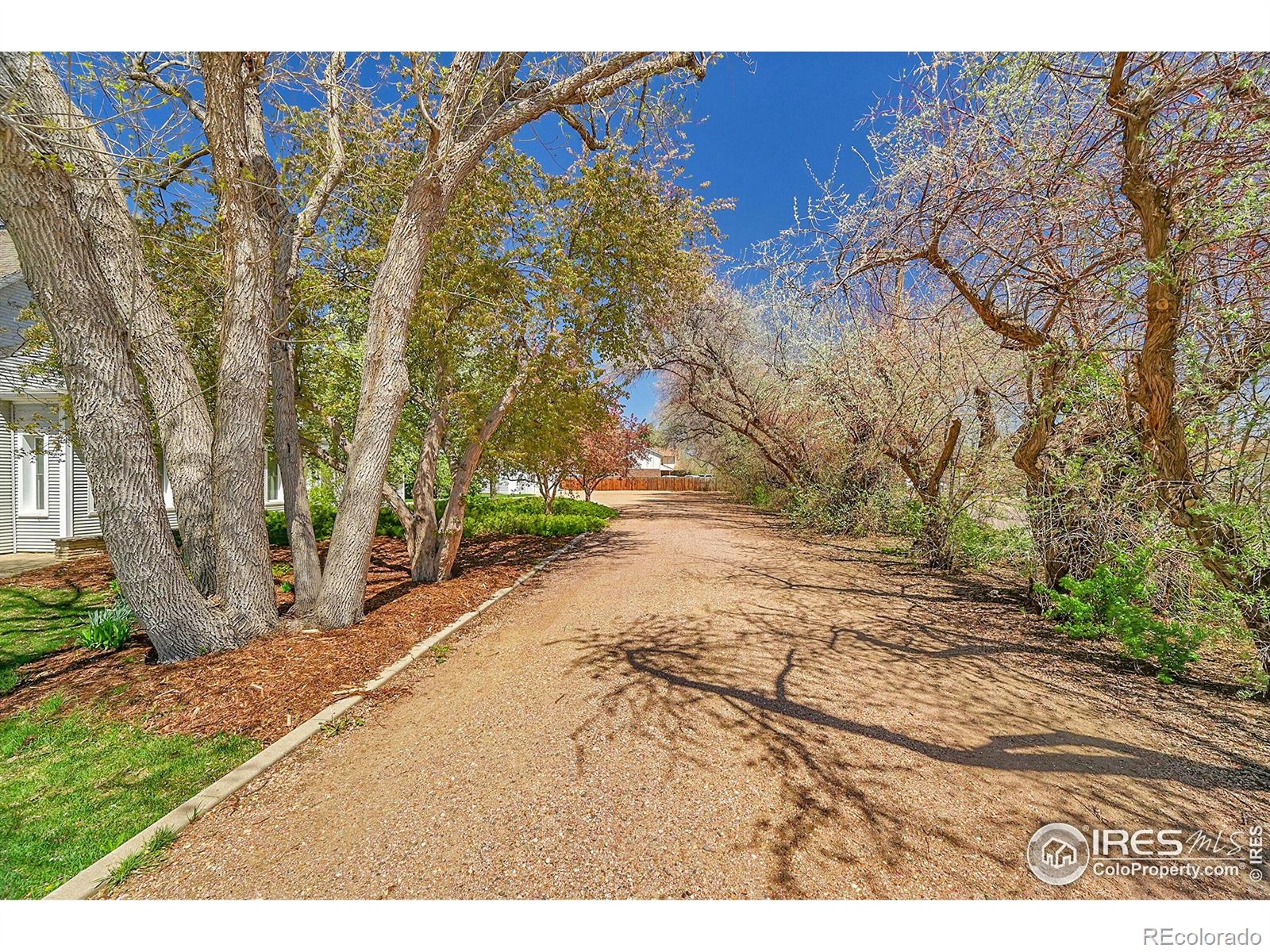 MLS Image #2 for 807  collins street,eaton, Colorado