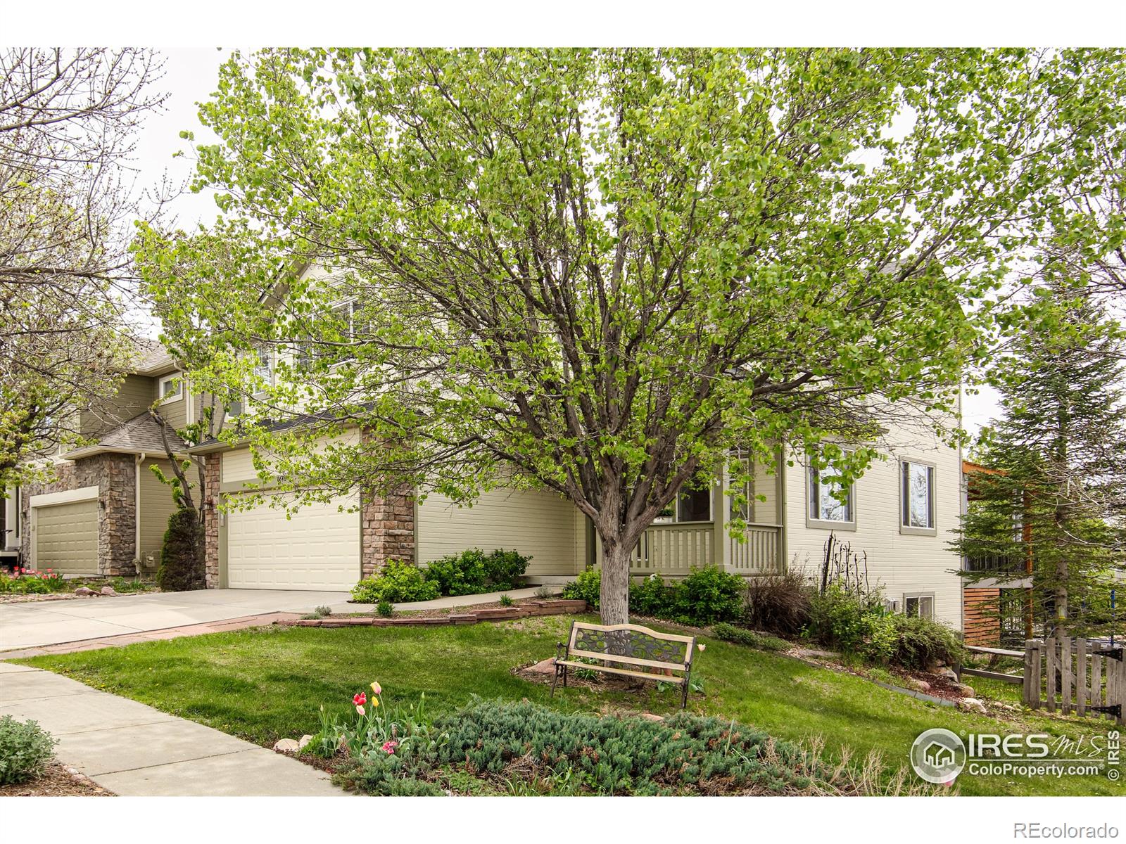 MLS Image #1 for 6646  bean mountain lane,boulder, Colorado