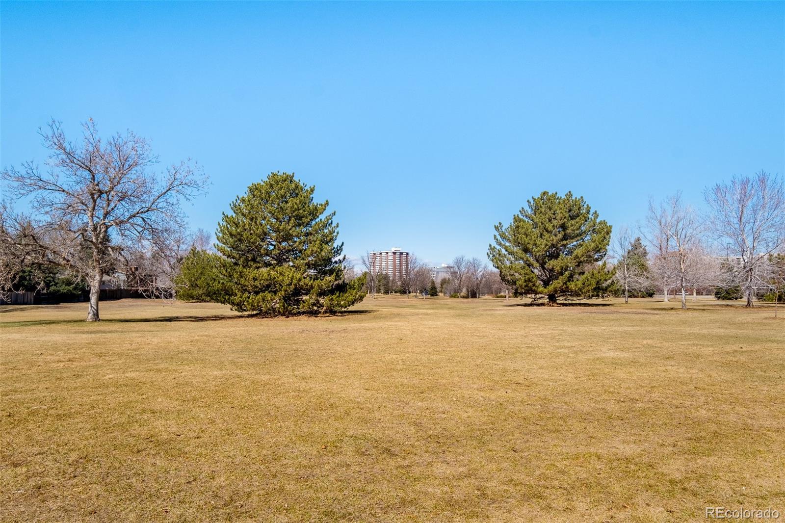 MLS Image #34 for 621  s harrison lane,denver, Colorado