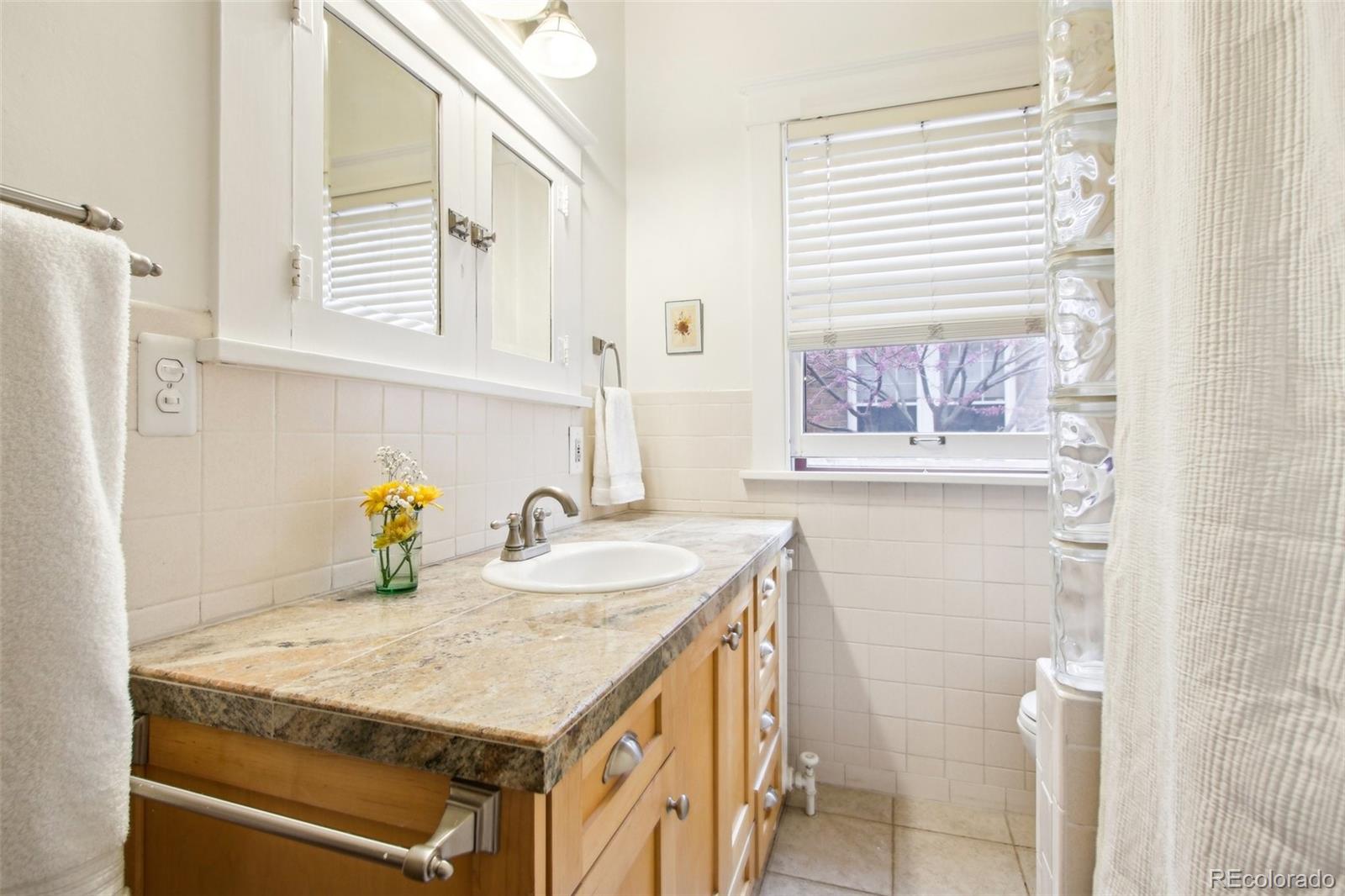 MLS Image #15 for 4253  hooker street,denver, Colorado