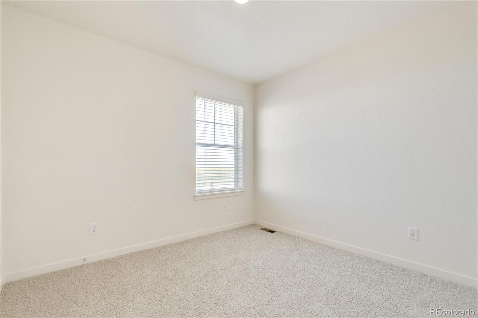 MLS Image #23 for 17959  dandy brush lane,parker, Colorado