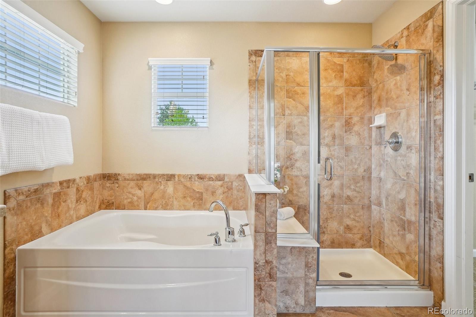 MLS Image #25 for 2605  gray wolf loop,broomfield, Colorado