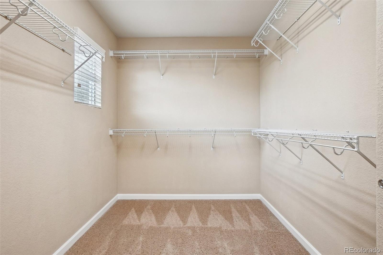 MLS Image #27 for 2605  gray wolf loop,broomfield, Colorado