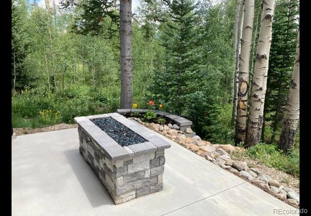 MLS Image #41 for 62  thimbleberry way,silverthorne, Colorado