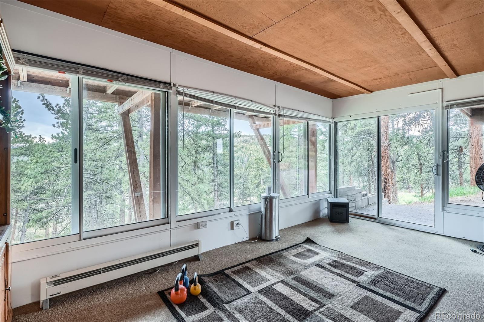 MLS Image #22 for 21191  pleasant park road,conifer, Colorado
