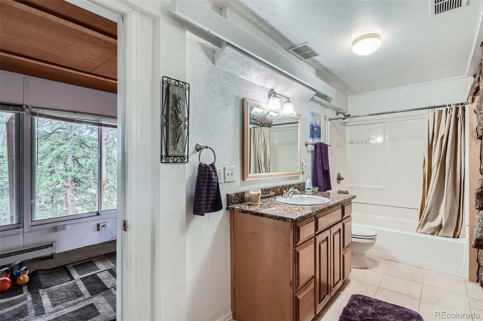MLS Image #27 for 21191  pleasant park road,conifer, Colorado