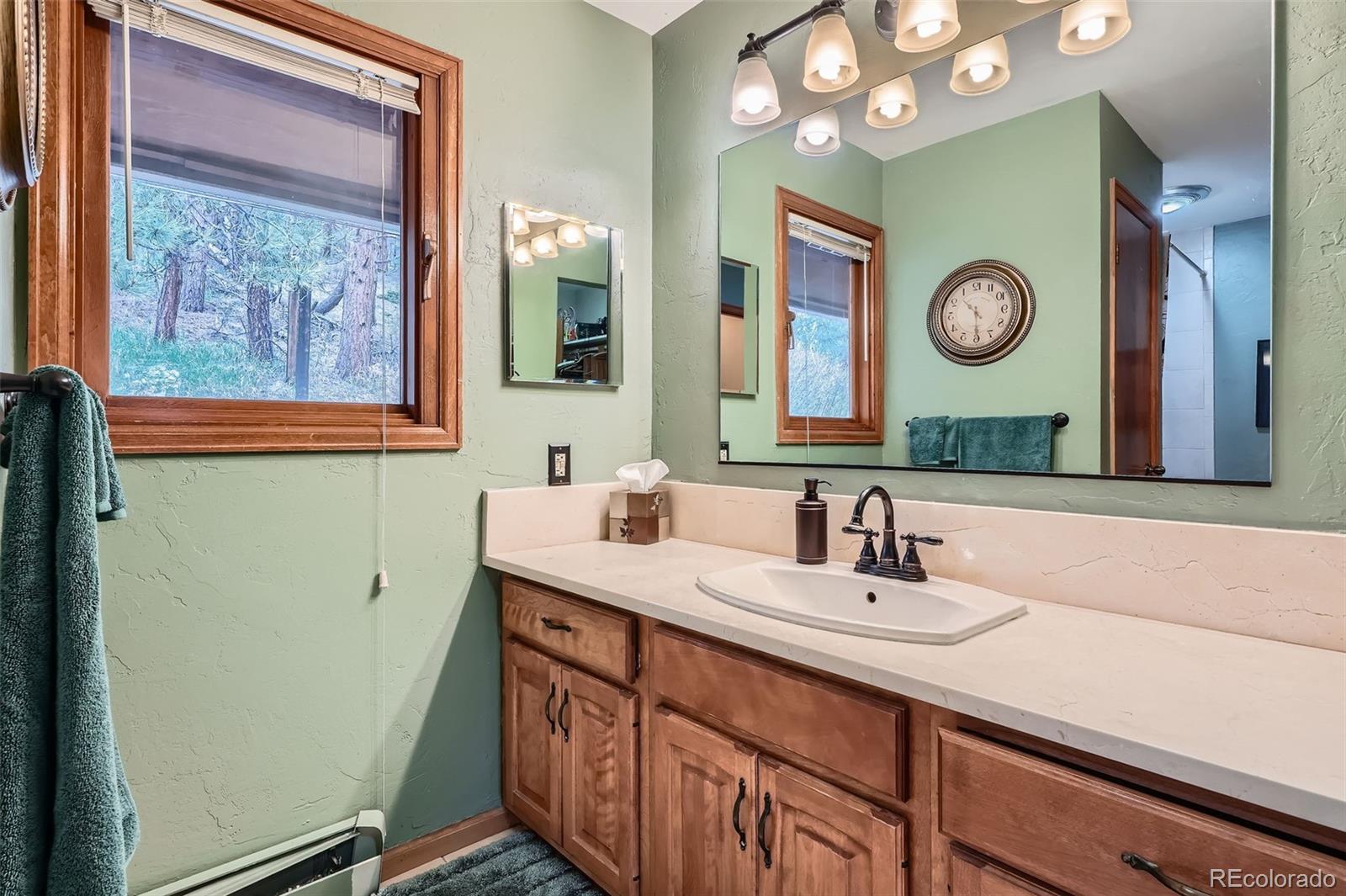 MLS Image #31 for 21191  pleasant park road,conifer, Colorado