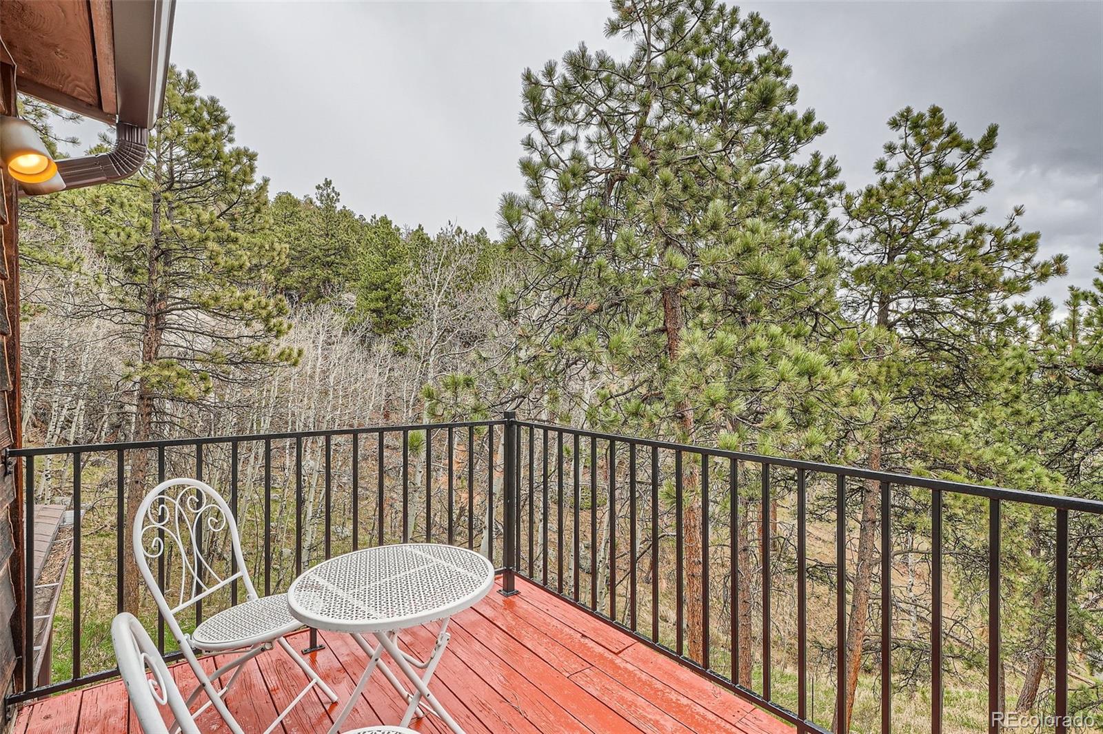 MLS Image #33 for 21191  pleasant park road,conifer, Colorado