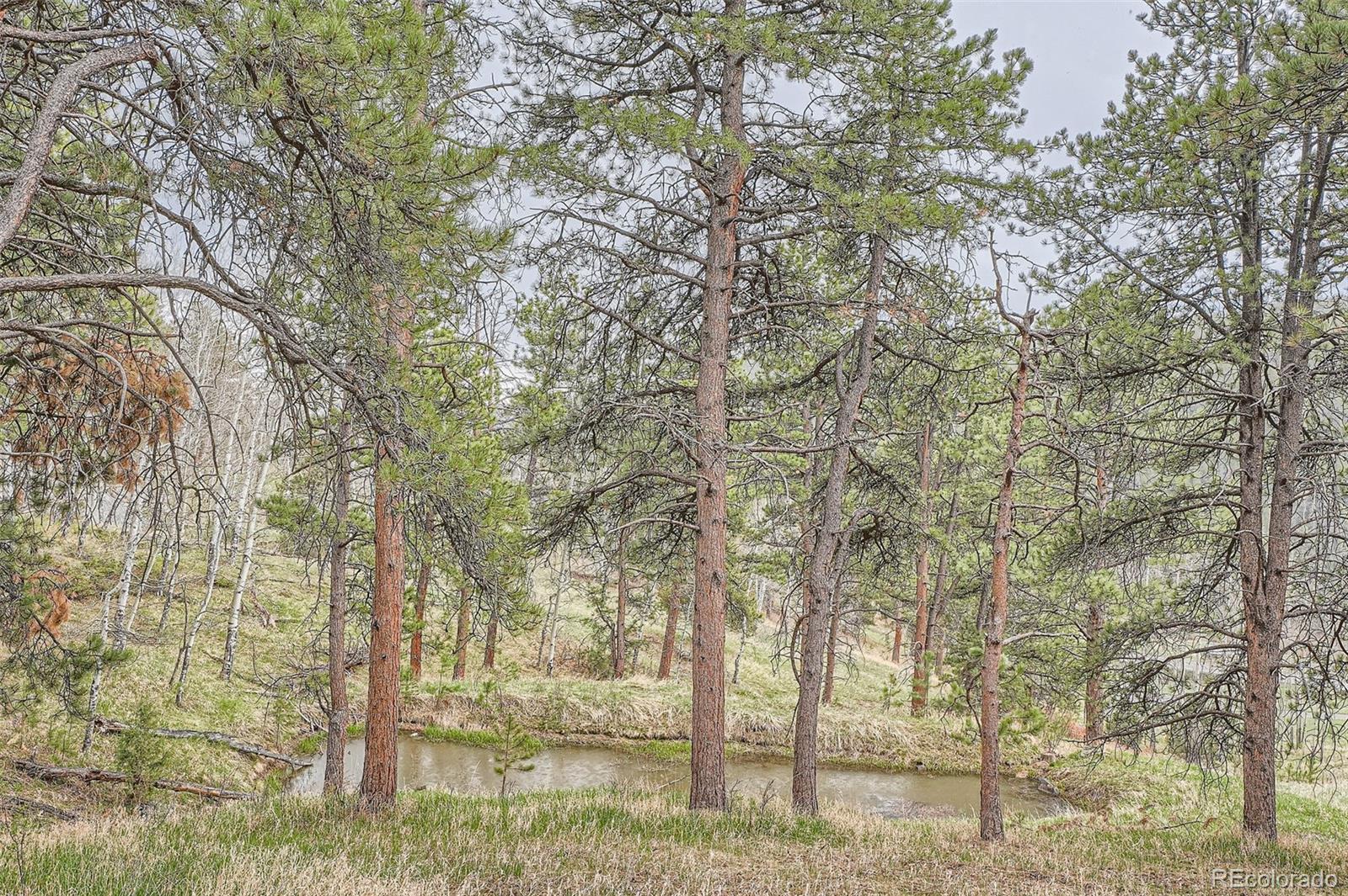 MLS Image #38 for 21191  pleasant park road,conifer, Colorado