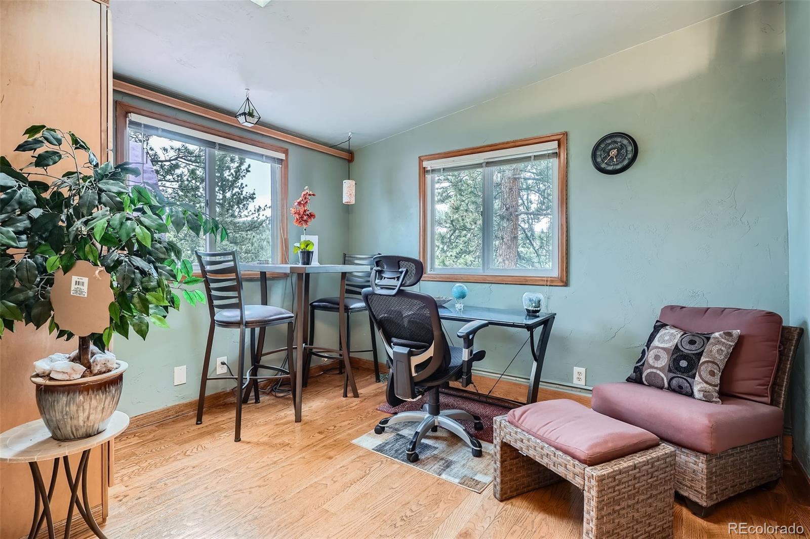 MLS Image #7 for 21191  pleasant park road,conifer, Colorado