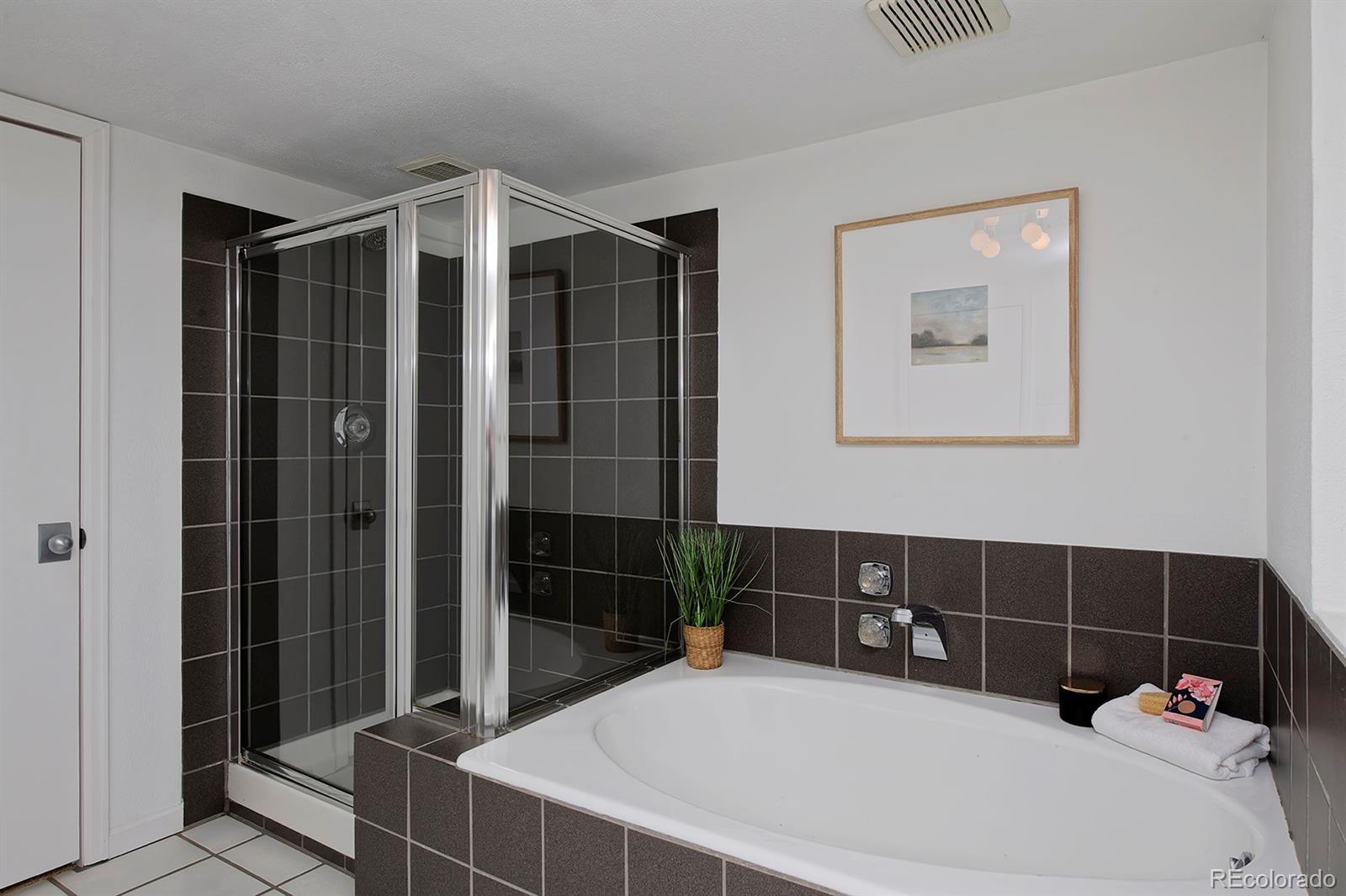 MLS Image #37 for 2500  locust street,denver, Colorado