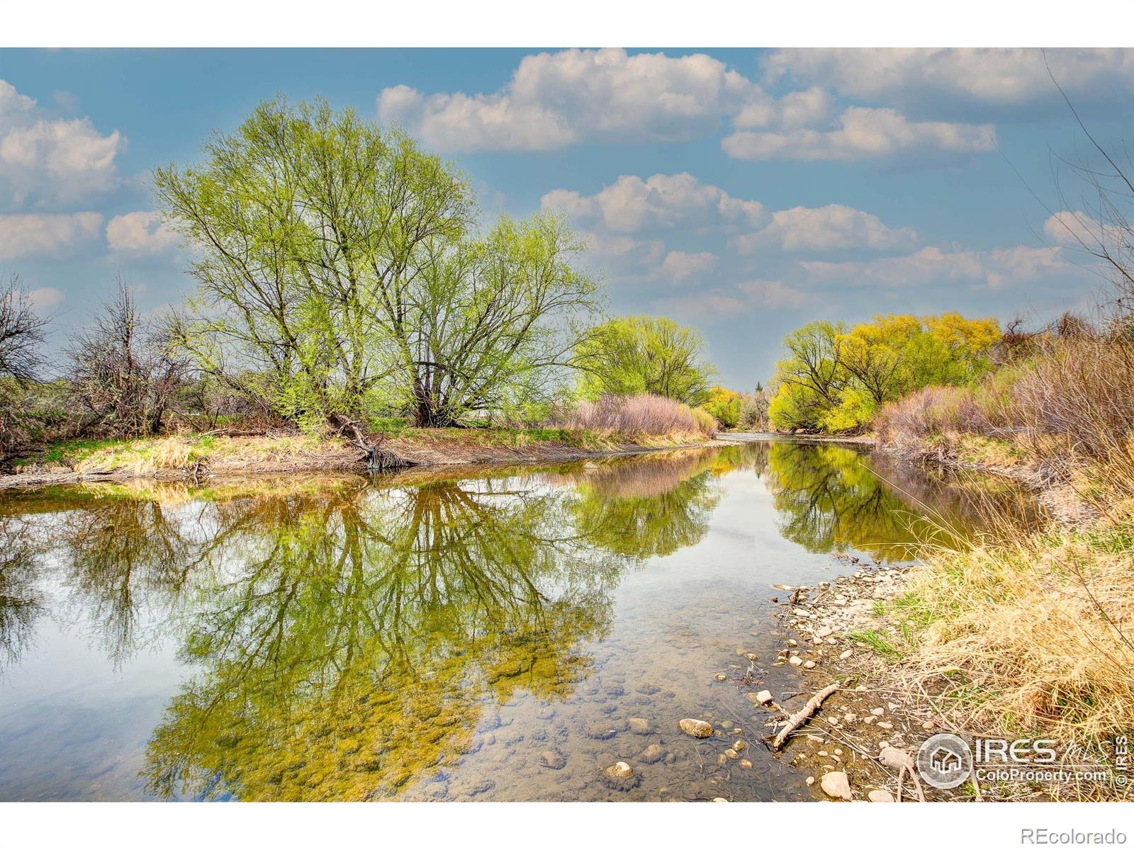 MLS Image #3 for 4809 s county road 3f ,fort collins, Colorado