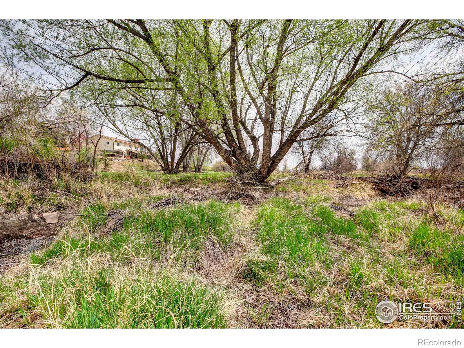 MLS Image #30 for 4809 s county road 3f ,fort collins, Colorado