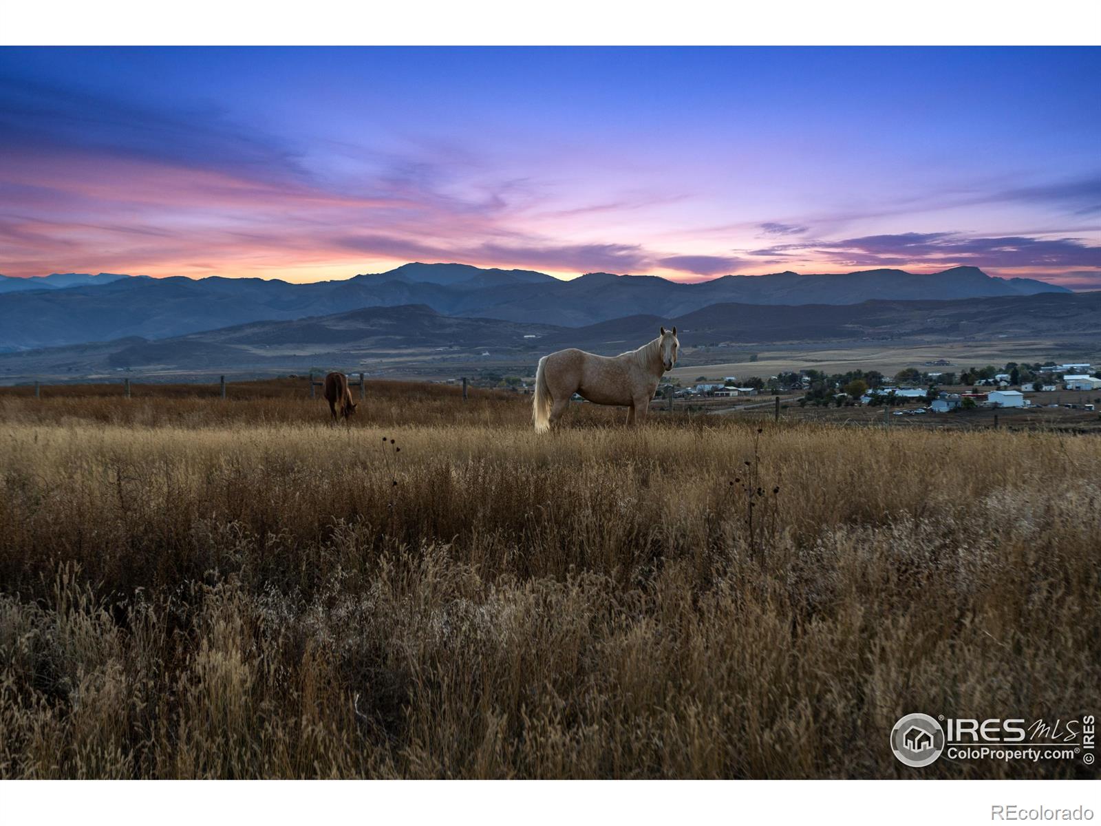 MLS Image #6 for 7389  douglass lake ranch road,fort collins, Colorado