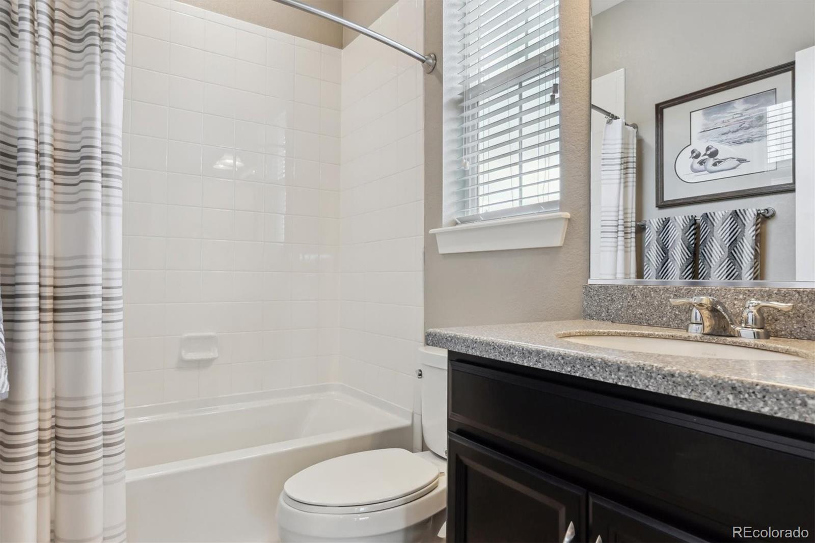 MLS Image #4 for 4077  forever circle,castle rock, Colorado