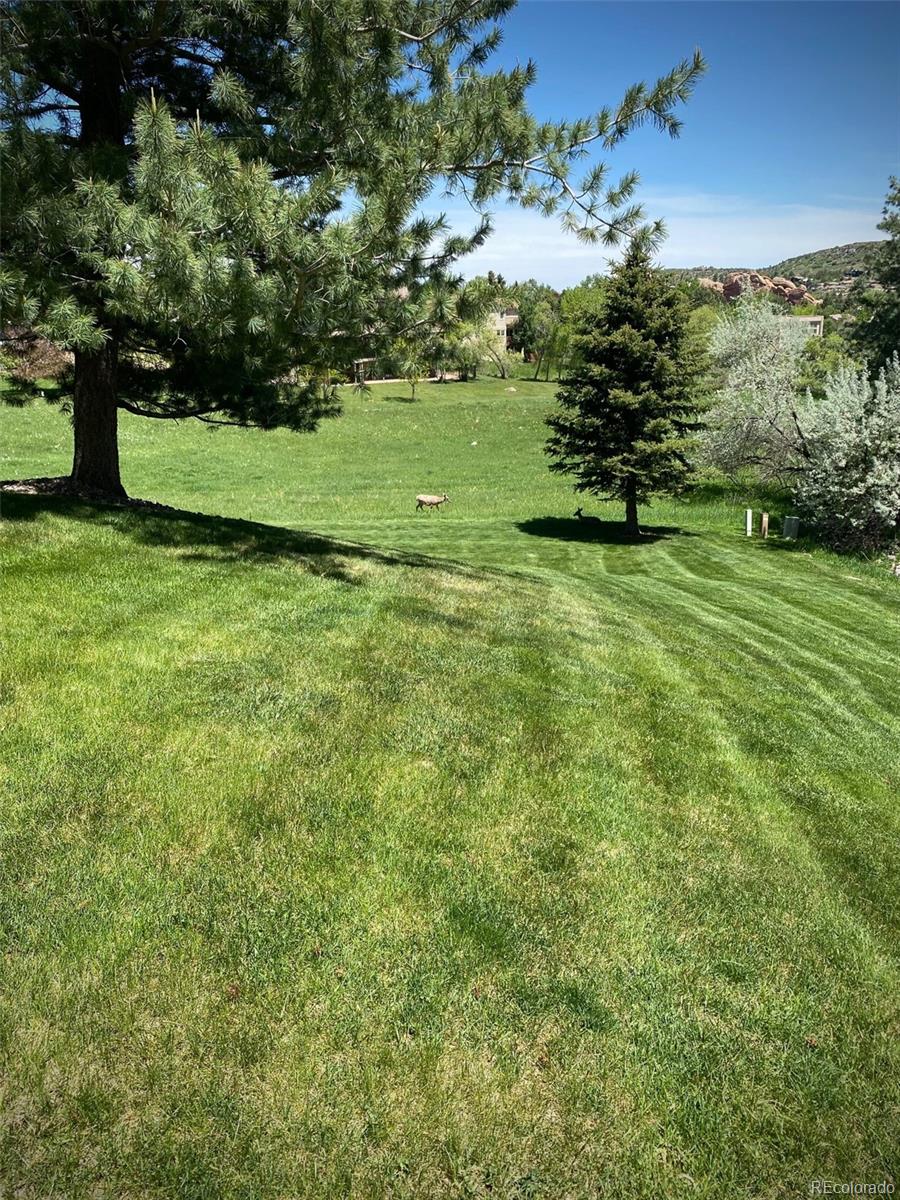 MLS Image #25 for 5  catamount lane,littleton, Colorado