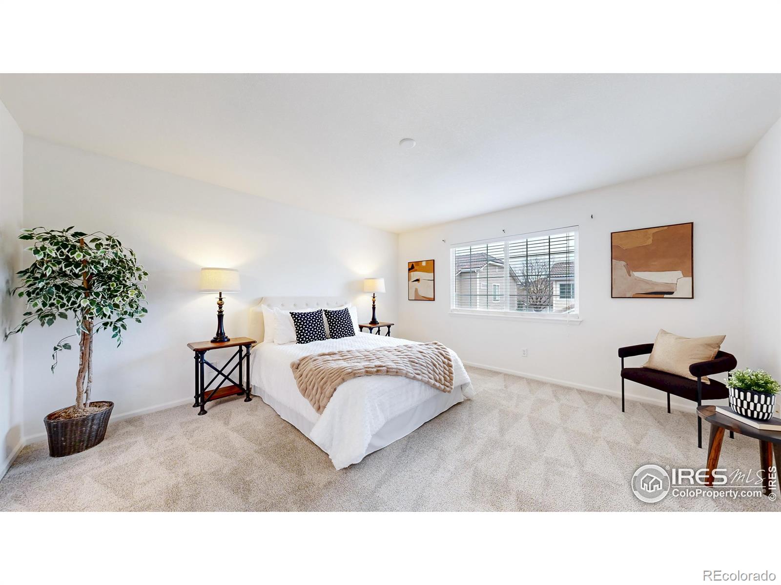 MLS Image #18 for 11738  zenobia loop,westminster, Colorado