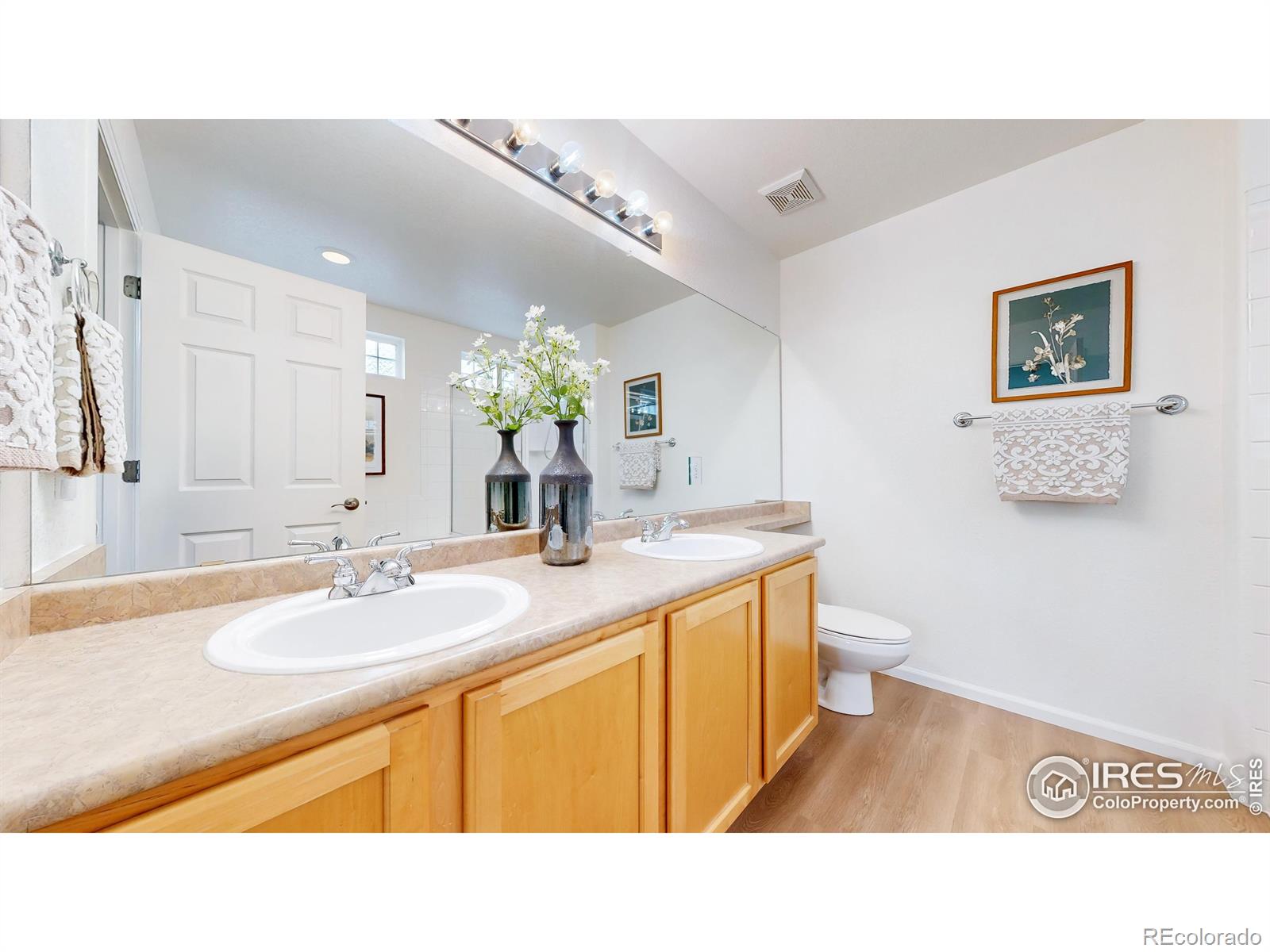 MLS Image #21 for 11738  zenobia loop,westminster, Colorado