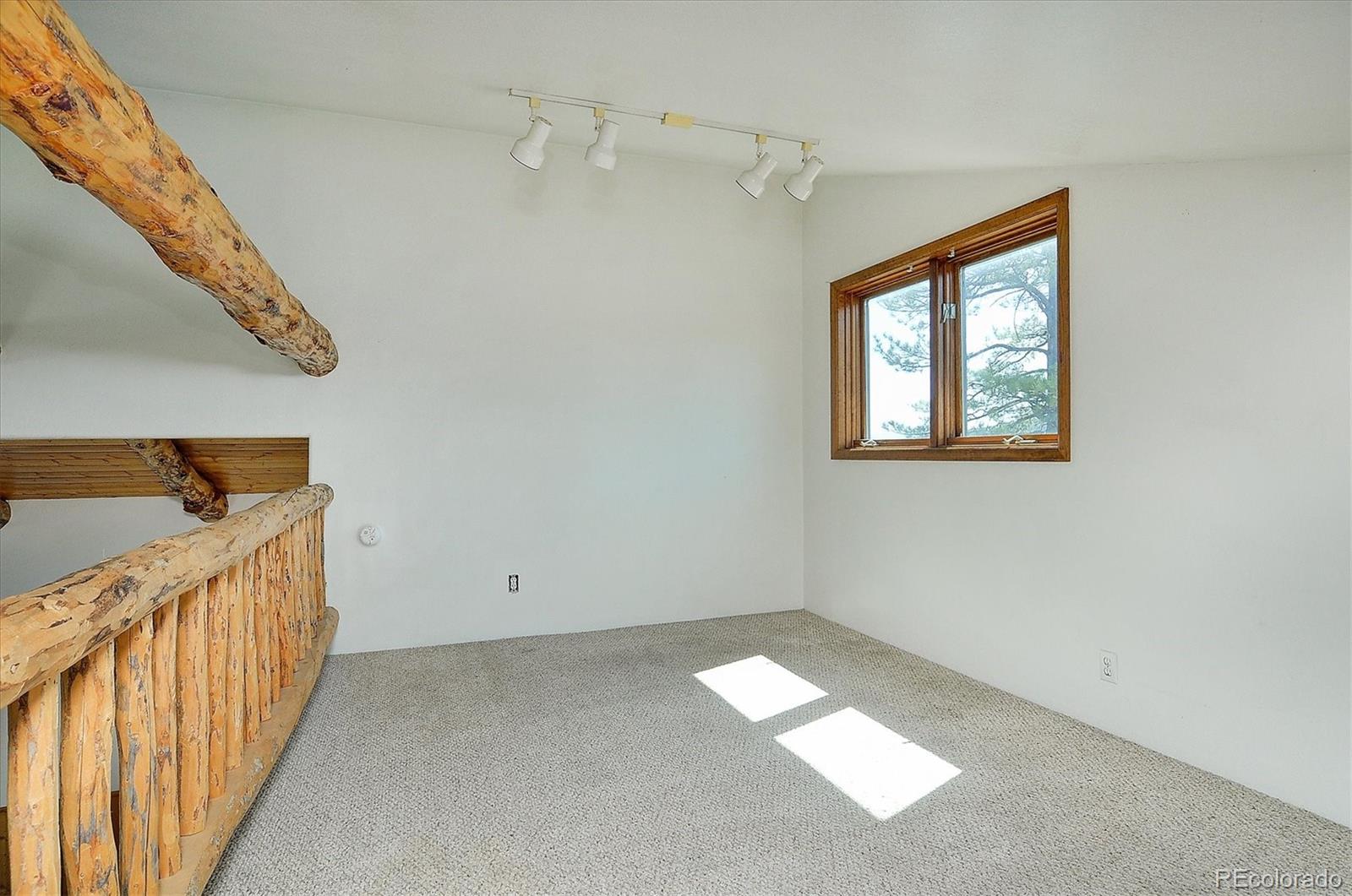 MLS Image #10 for 16715  shadow lane,nathrop, Colorado