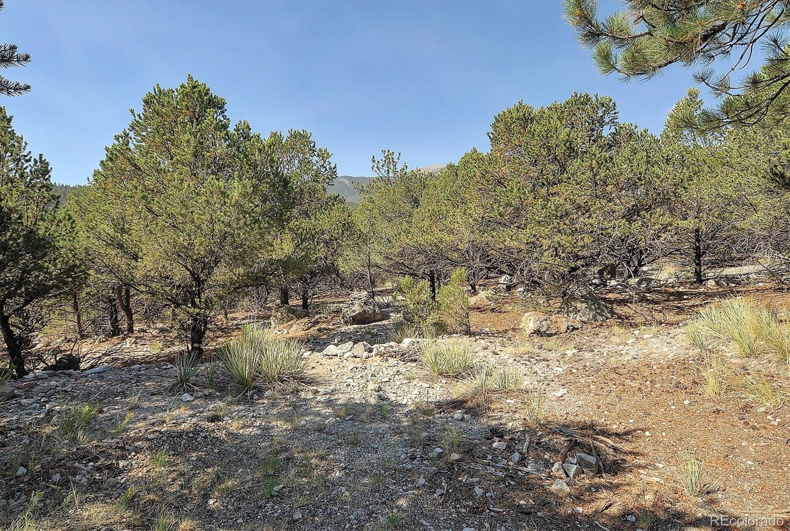 MLS Image #23 for 16715  shadow lane,nathrop, Colorado