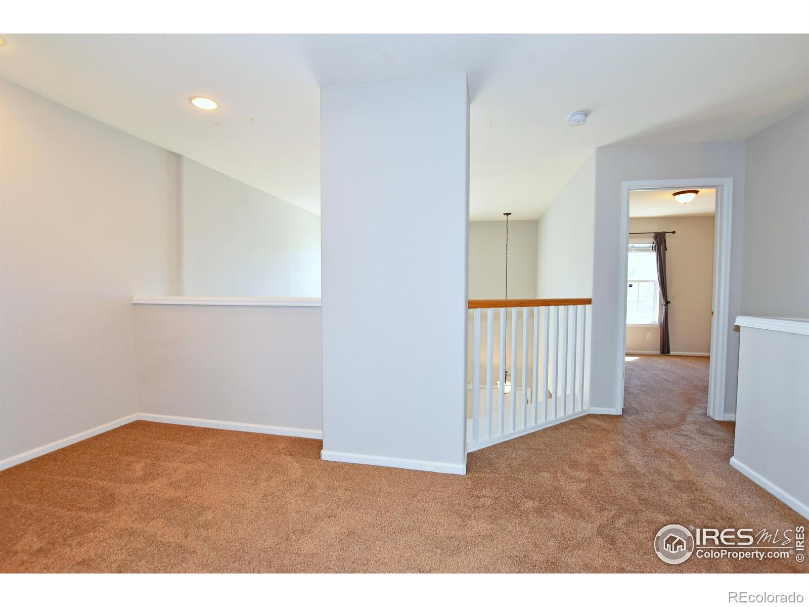 MLS Image #16 for 2203  copper creek drive,fort collins, Colorado
