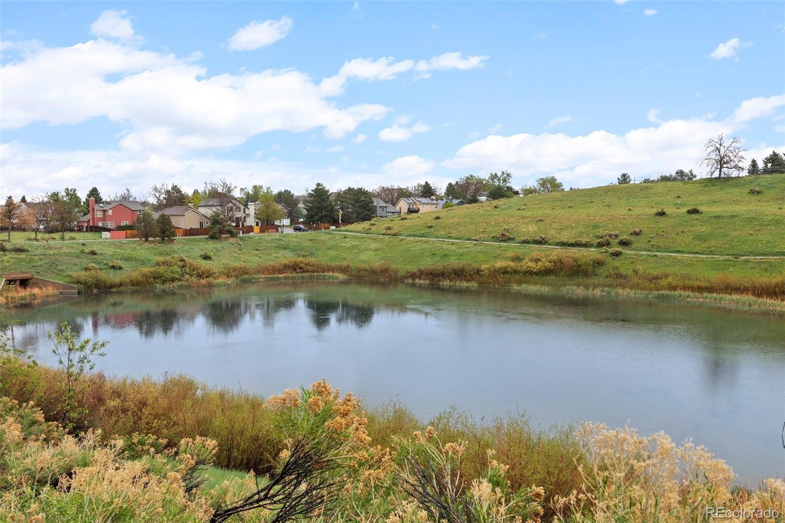 MLS Image #33 for 7888  canvasback circle,littleton, Colorado
