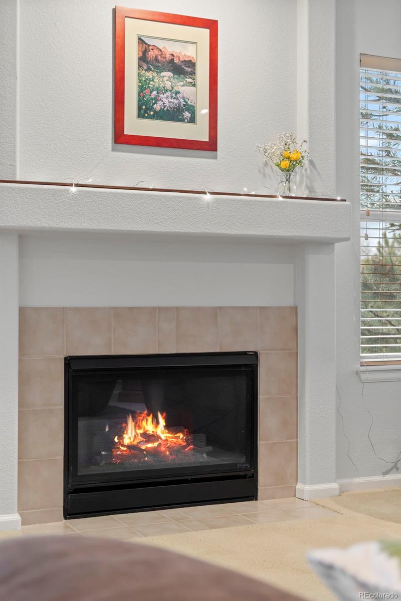 MLS Image #7 for 7888  canvasback circle,littleton, Colorado