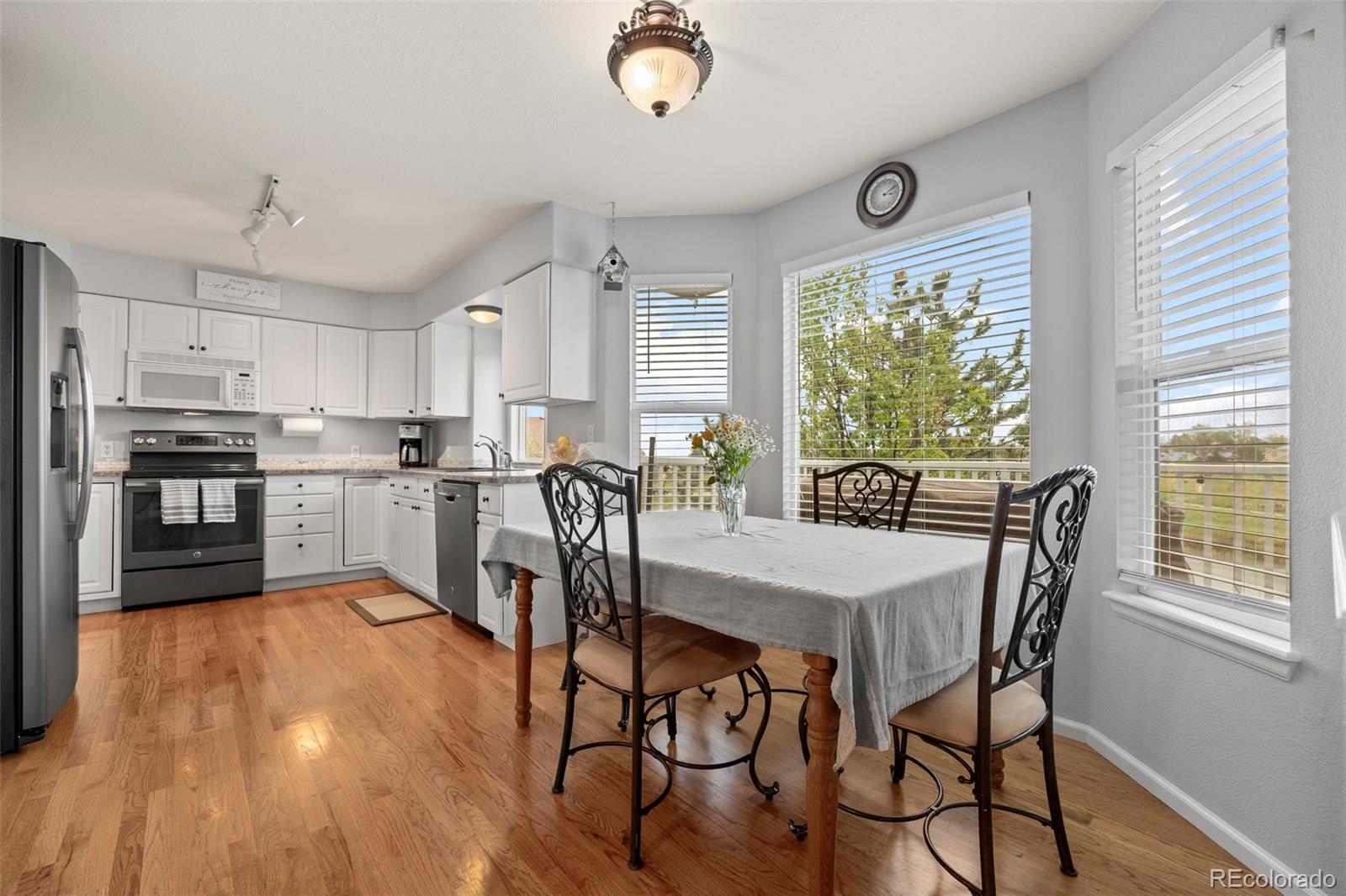 MLS Image #9 for 7888  canvasback circle,littleton, Colorado
