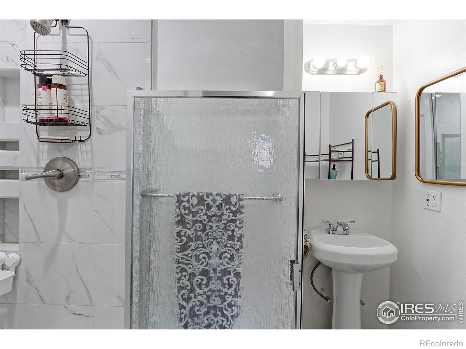 MLS Image #21 for 2561 s carey way,denver, Colorado