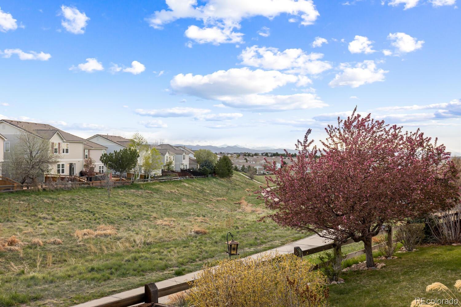 MLS Image #23 for 1983  candleglow street,castle rock, Colorado